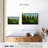 Lush Green Pine Trees-356087963-356087954