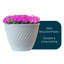 Pot Planter-104932794
