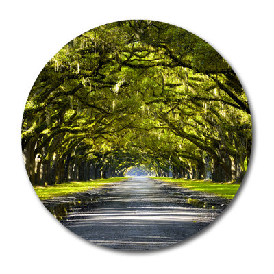 The Path Home Print