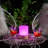 Alazah Elara Rechargeable Wireless Table Lamp with Remote