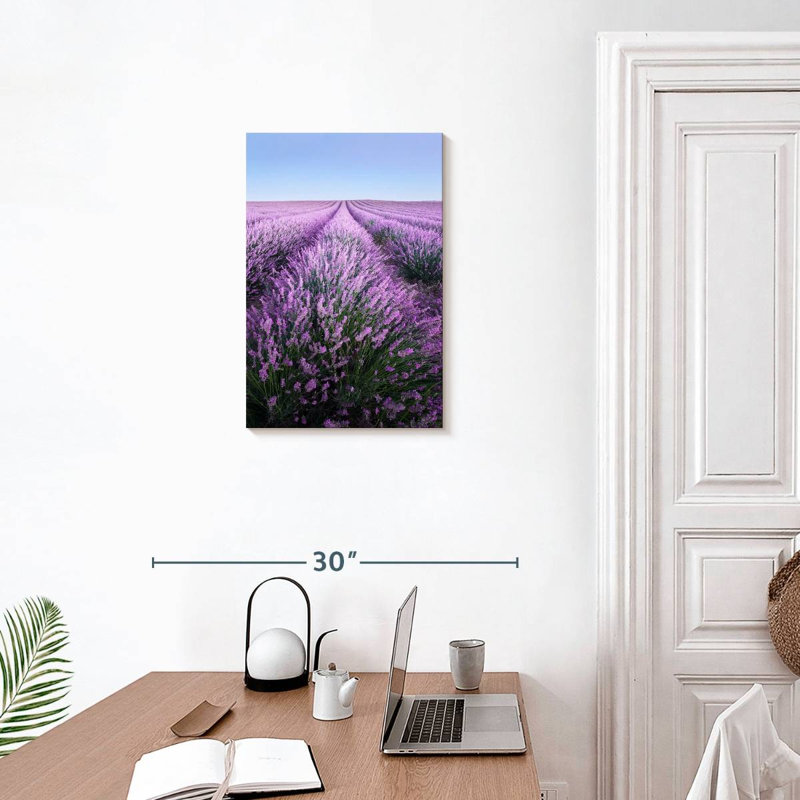 Lavande française Alvord Provence, H 24 po x l 16 po