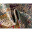 Tapis d'intérieur / extérieur multicolore à motif abstrait Trona-86598004