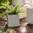 Pot Planter-1889978883