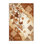 Tapis moelleux moelleux d'inspiration mondiale Scott Grapevine - beige