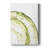 Lichen Halo VI -Custom Wrapped Gallery Cavas-348437927