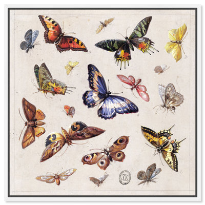 «Butterflies Sighting Canvas», art floral par Art Remedy