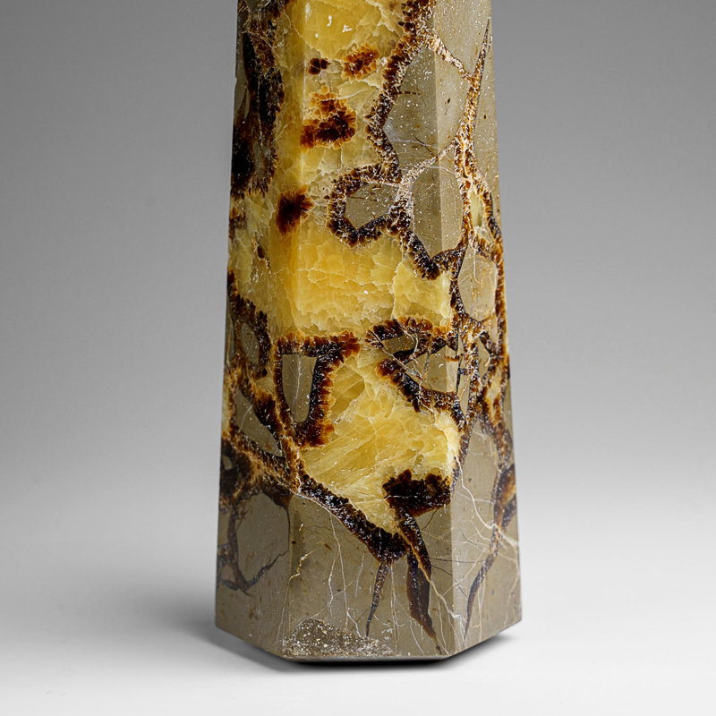 Véritable pointe septarienne polie de Madagascar (2,3 lb)
