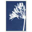 Cyan Bloom Print by Oliver Gal-987656815-987656802