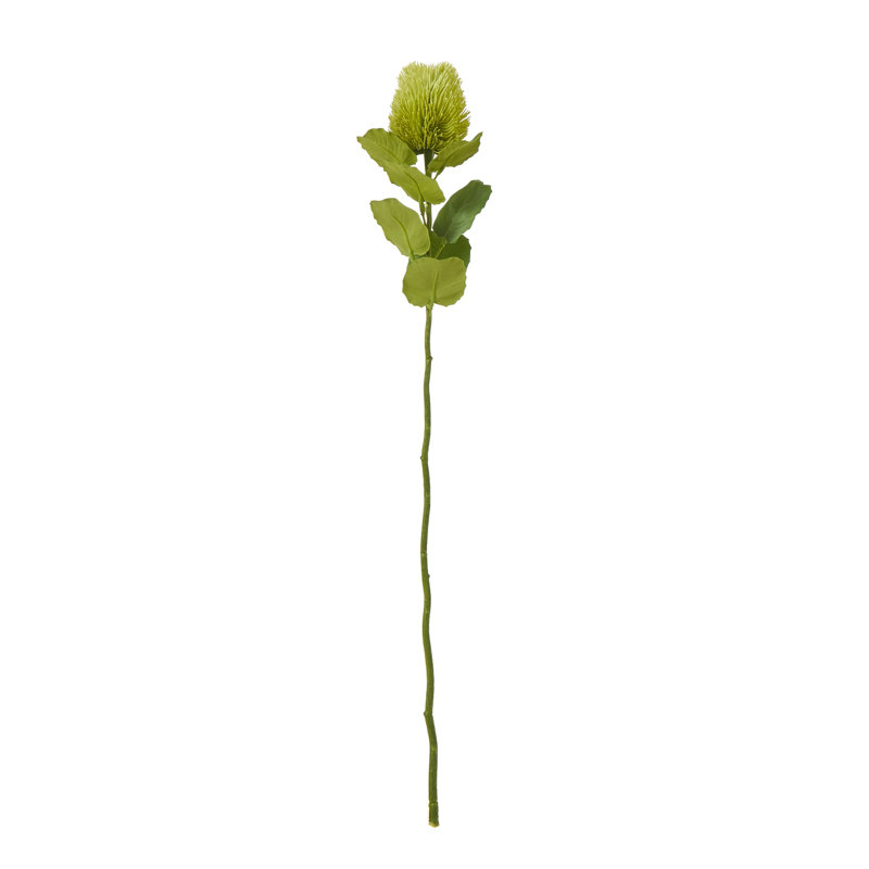 Anastasija Arrangement, Green