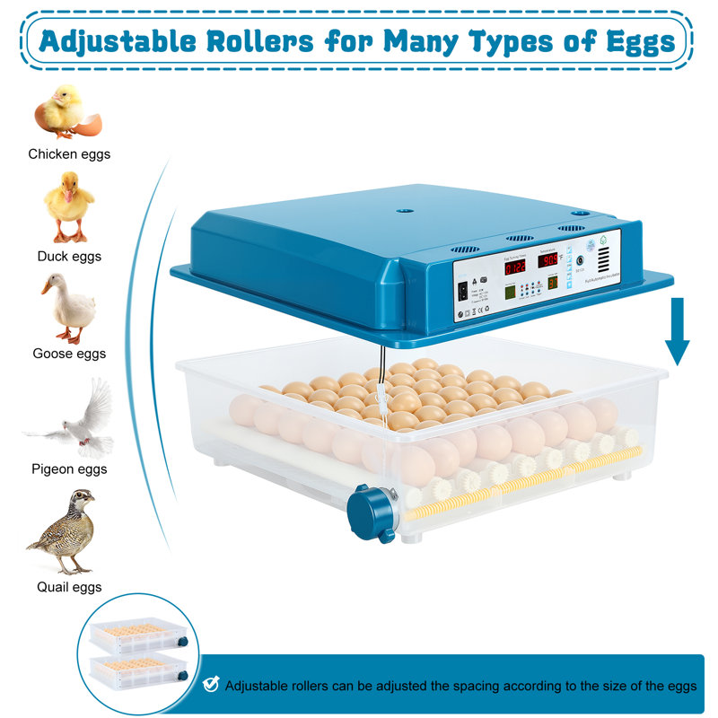 64 couveuses à œufs, couveuse à œufs avec mode automatique, couveuse à poulets avec surveillance automatique de l'humidité, poulailler à volaille