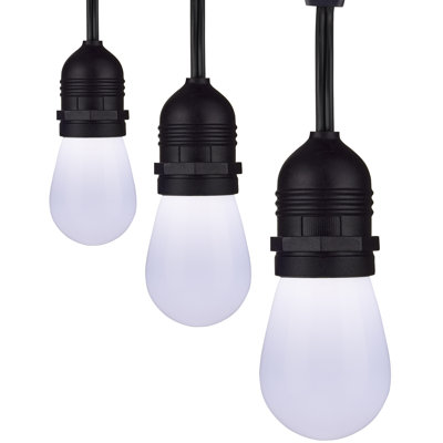 Indoor / Outdoor 12 - Bulb 288 in. Plug-in LED Standard String Light