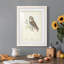 Little Owl Premium encadré mat - prêt à accrocher-1174590308-1174590306