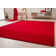 Arenberg Solid Colour Area Rug