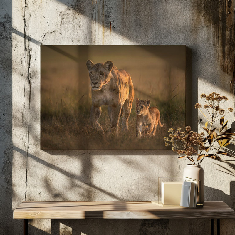 Wrapped Canvas Print, 50.8 cm H x 76.2 cm W