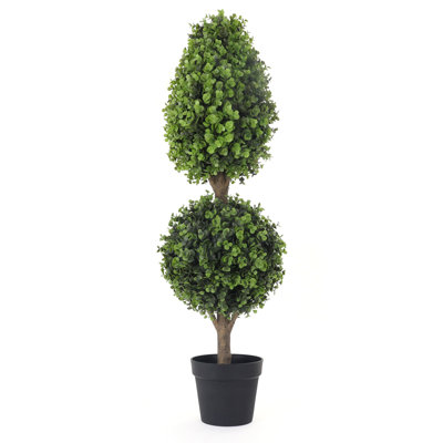 Topiaire en faux pin en pot Bornbridge