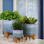 Jardinière moderne en céramique texturée avec support intérieur / extérieur-1599555447-1599555454