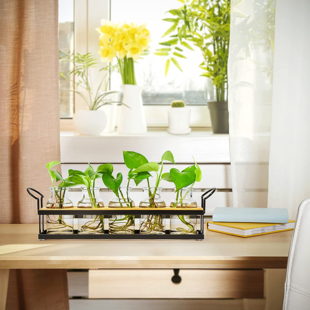 Plant Propagation Stations With Metal Stand, Tabletop Plant Terrarium For Propagating Hydroponic, Retro Glass Planter Flower Vase Home Kitchen Office
