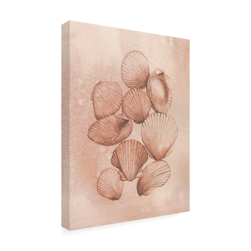 Art mural sur toile tendue - "Saltwater Shell Study II" Grace Popp pour décoration de salon, de chambre à coucher ou de bureau - 14 x 19