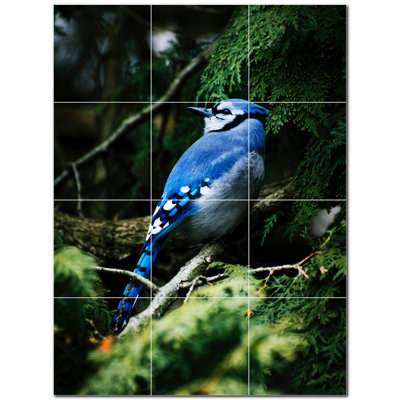 Bird Photo 8'' x 8'' Satin Ceramic Decorative Mural