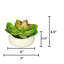Jardinière avec succulent Echeveria artificielle-1784039847-1784032528