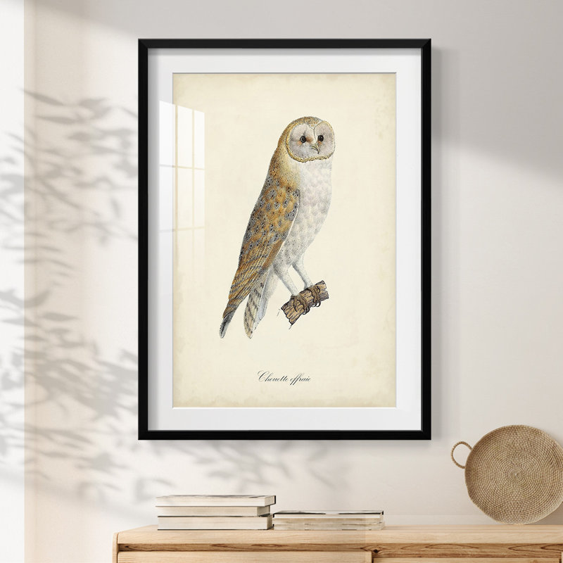 Haamed -Gallery Wrapped Canvas