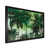 Black Single Picture Framed selected