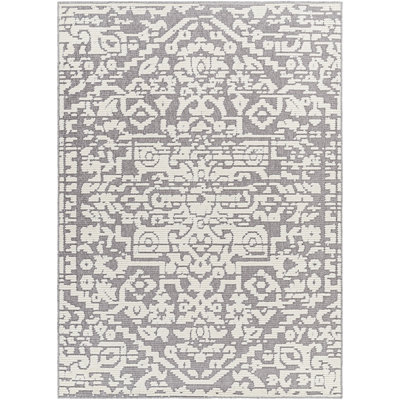 Oriental Indoor Rug