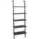 Flythe Ladder Bookcase