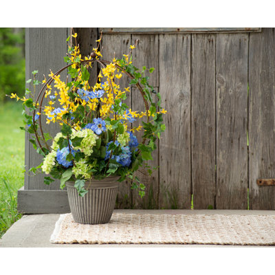 Hortensia en pot