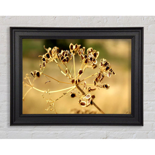 Ebern Designs Winter - Single Picture Frame Print | Wayfair.co.uk