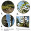 Birch Tree Forest Essence 3 - Art mural arbre-1802379323-1802379322