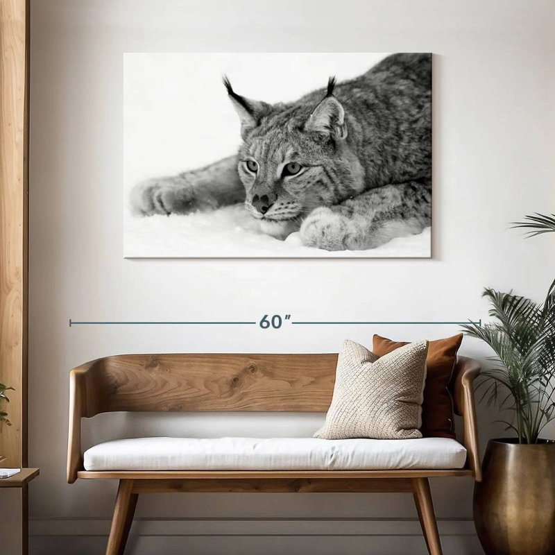 Brampt Lynx BW, H 30 po x l 45 po