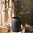 Red Earth Simple Vase