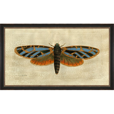 Crackled Moth 2 Painting