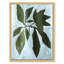 Conadria, Atreano, Kadota, and Brunswick Print by Susan Hable Soicher Marin
