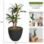 Dracaena artificiel Panama 50,6 "en pot