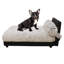 Lit orthopédique pour animaux Mid-Century-1932509633-1953814889
