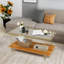 Amed Coffee Table with Storage