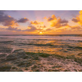 Golden Sunset In Ocean Beach, San Diego Print by Brian Mc Clean
