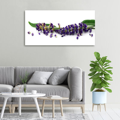 Lavender - No Frame Print on Canvas