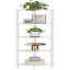 Richele 130cm H x 30cm W Corner Bookcase