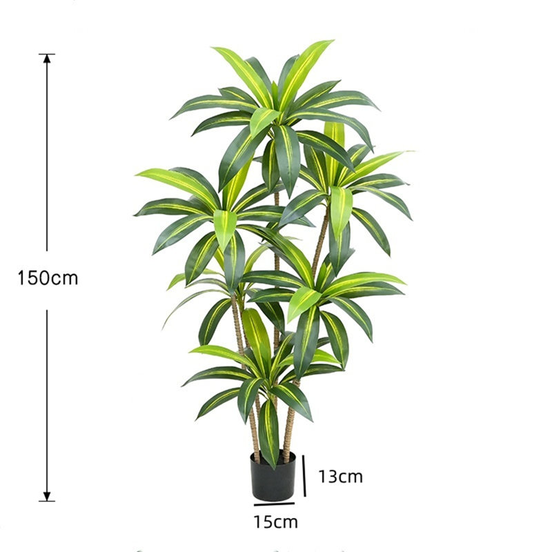 150cm Brazilian Wood Plant