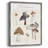 Mushroom Chart Framed Print - Solid Wood-1437885046