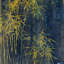Bamboo In Golden Yellow Print-26947362-26947366