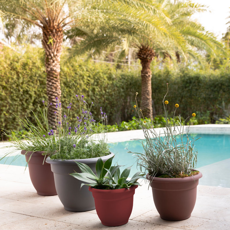 Ariana Traditional Self-Watering Indoor/Outdoor Pot Planter, 12" H x 13 " W x 14" D