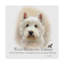 « west highland terrier », reproduction d’impression sur toile tendue-26856636