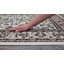 Raquette Oriental Area Rug-241708573