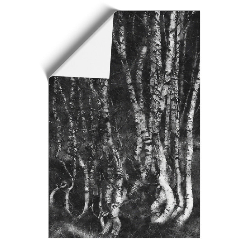 Birch Tree Forest Painting - Frameless Print, 42cm H x 30cm W x 0.1cm D