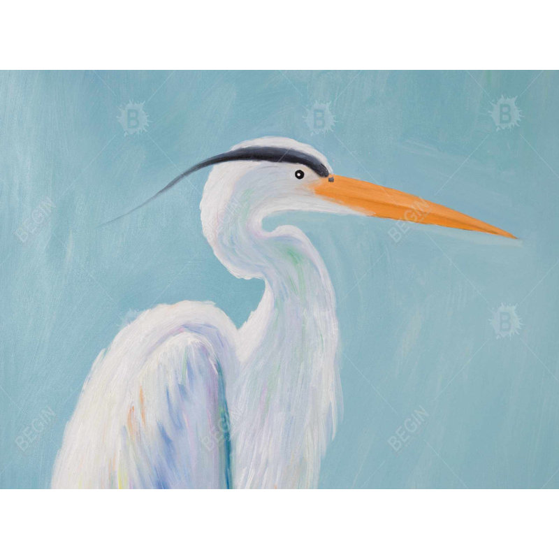 Great Blue Heron Braided Polyester Placemats | Set of 4