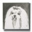  «A Very Neutral Modern Dog 9» par Cartissi, art mural sur toile-234636996